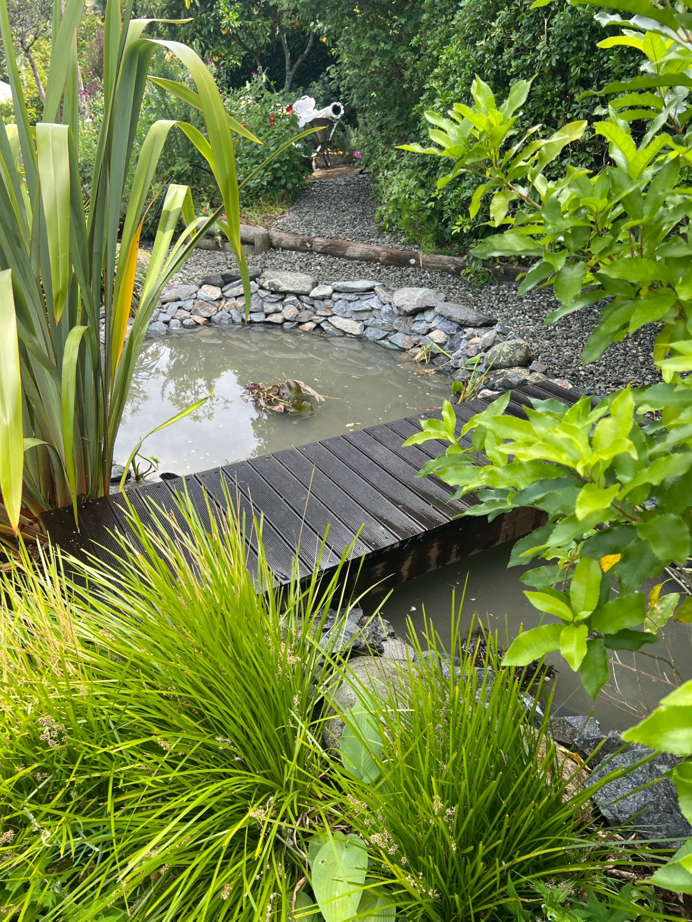 Restored pond edge after a full property clean-up
